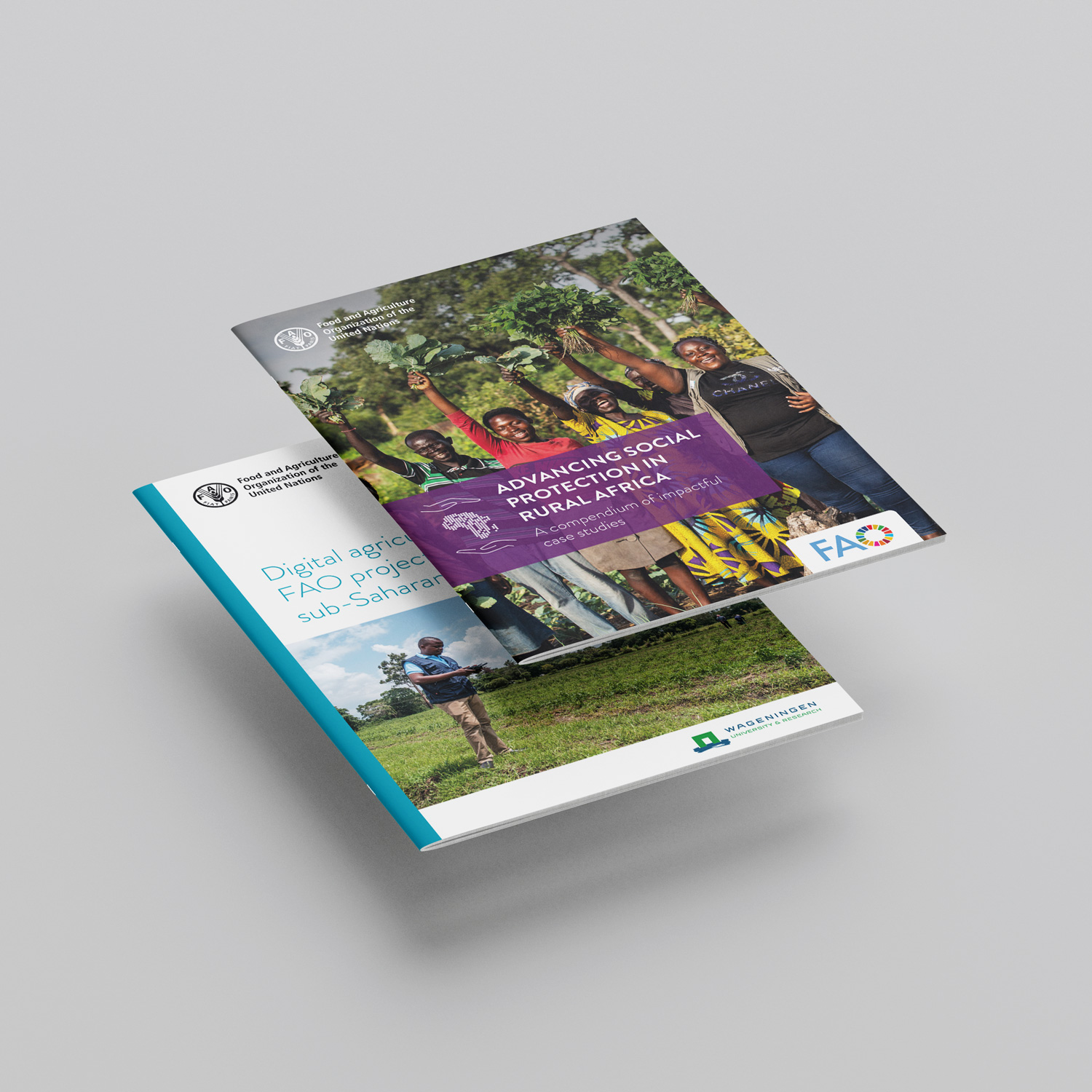 Report design - FAO