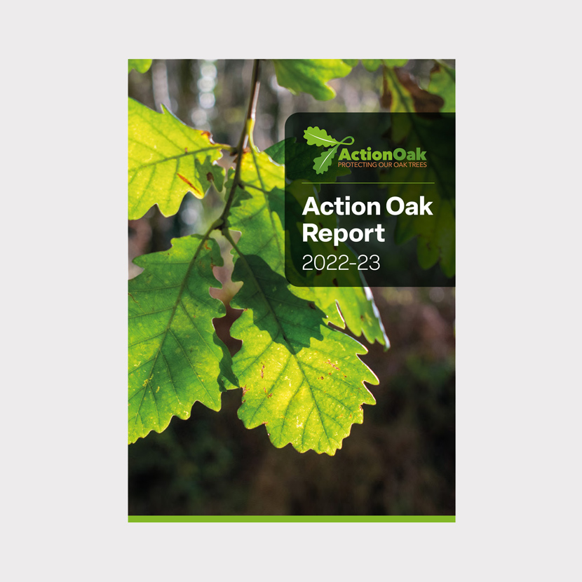 Freelance report design - ActionOak, UK